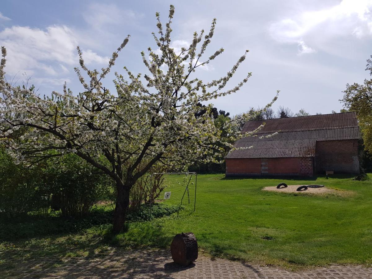 Pension New Nomads Zesch Kültér fotó