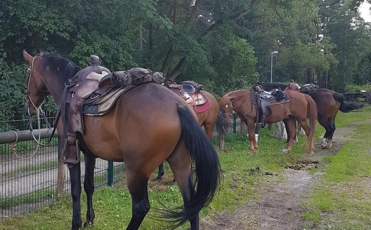 Pension New Nomads Zesch Kültér fotó